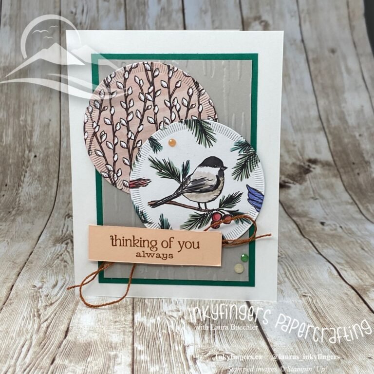 Video Tutorial: Using a Card Sketch with the Nests of Winter Suite!